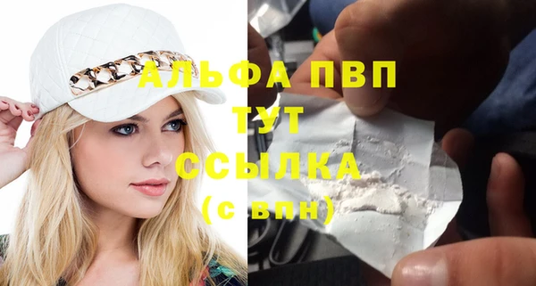 мяу мяу мука Баксан