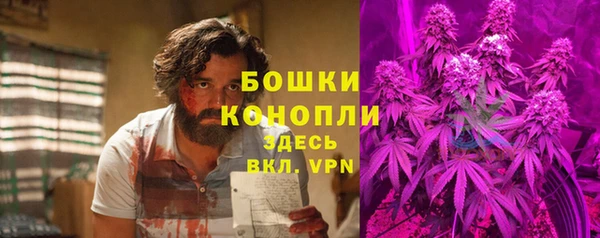 мяу мяу мука Баксан